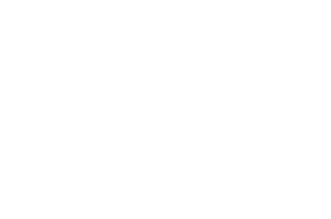 ZERO emission company logo (white)